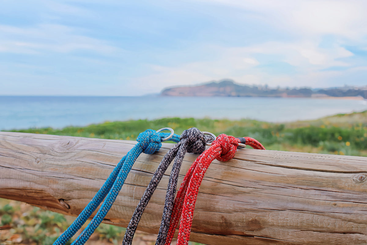 Three braided rope lanyards in blue, gray, and red, tied in knots and draped over a weathered wooden log with a blurred beach and ocean background.